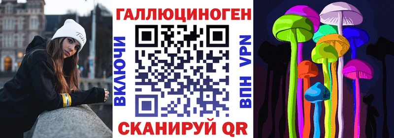 Псилоцибиновые грибы Psilocybe  Красавино 